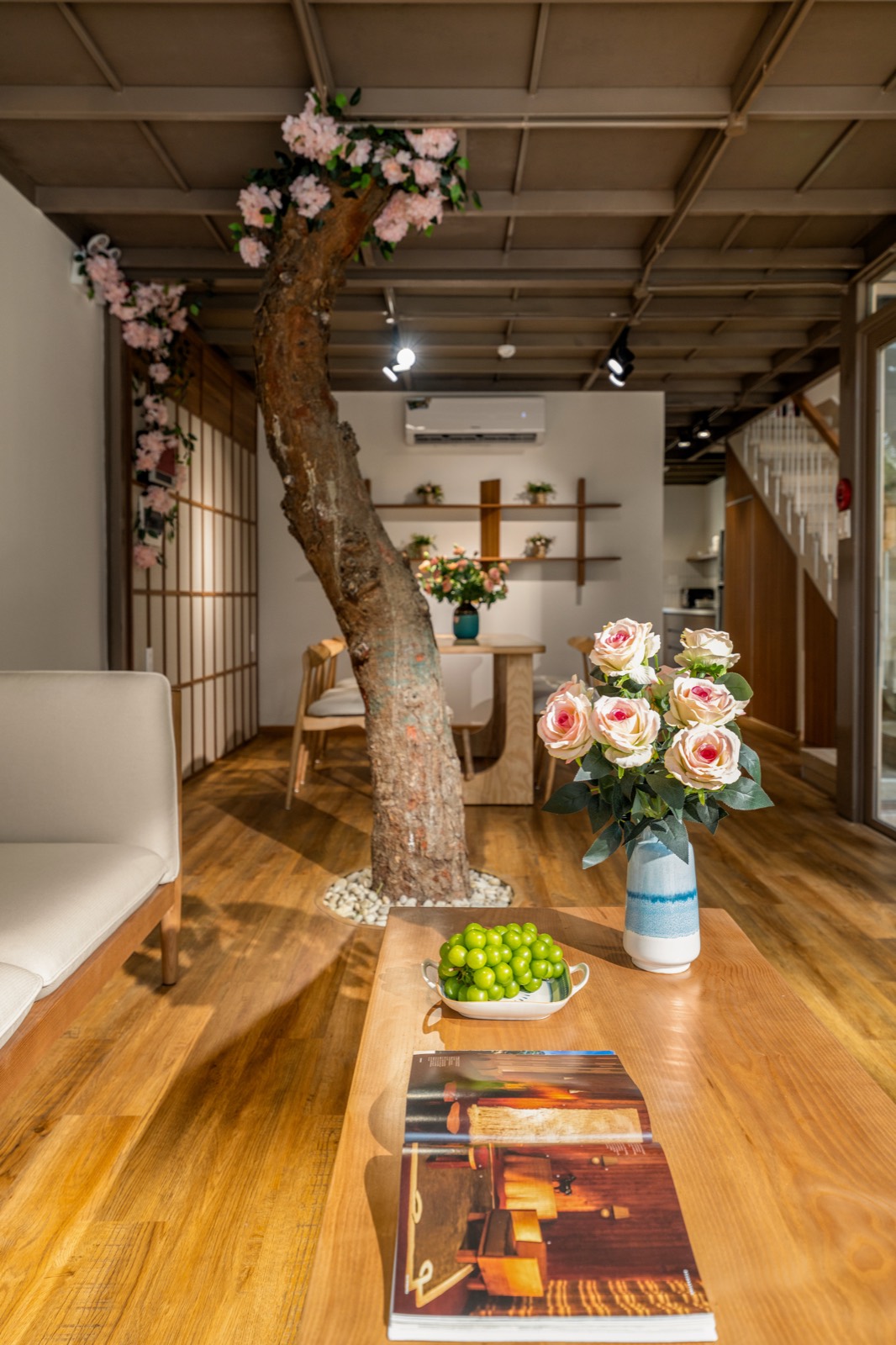 The old tree that grows up through the middle of the living room, in blossom against the timber ceiling