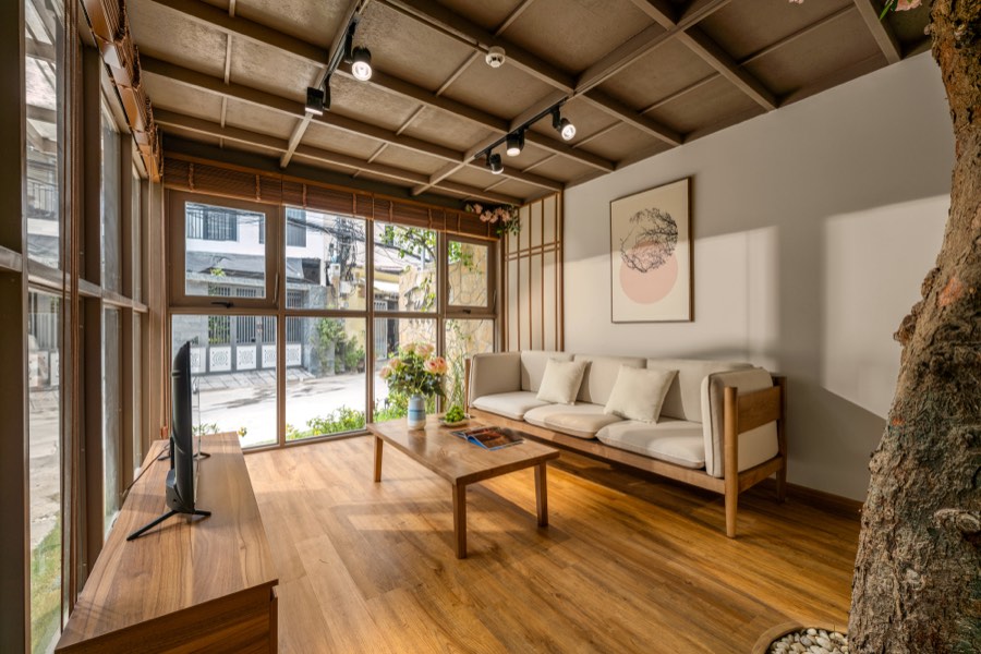 The living room, with the tree trunk rising through the floor — living room at Fuka House, Da Nang