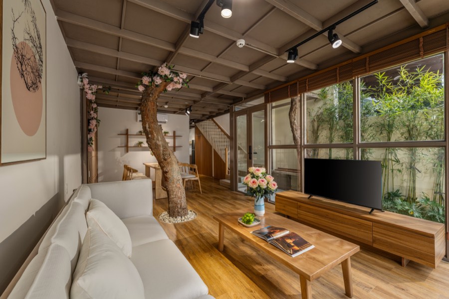 Bamboo framed in the window behind the television — living room at Fuka House, Da Nang